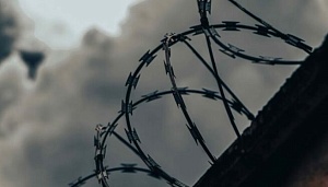 В Акмолинской области пастух совершил преступление, чтобы снова попасть в тюрьму 
